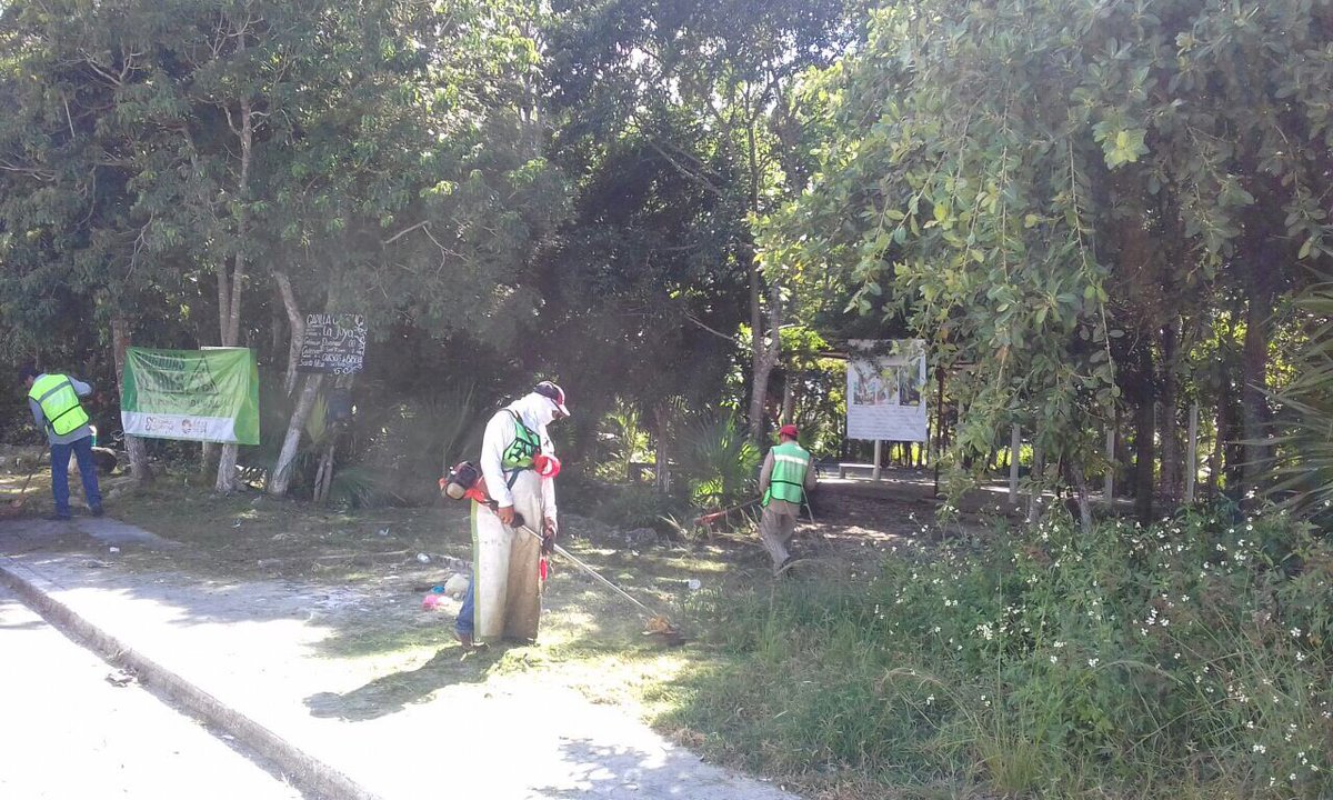 #BrigadasVerdes realizan chapeo y limpieza general de parque en Reg. 254 frente a Mza. 29 #NoPararemos <a href="/rembertoestrada/">Remberto Estrada</a> <a href="/RogerEspinosaR/">Roger EsPro</a> <a href="/AFonsecaL/">Antonio Fonseca Leon</a> <a href="/ANTONY2302/">ANTONIO DE LA TORRE</a>