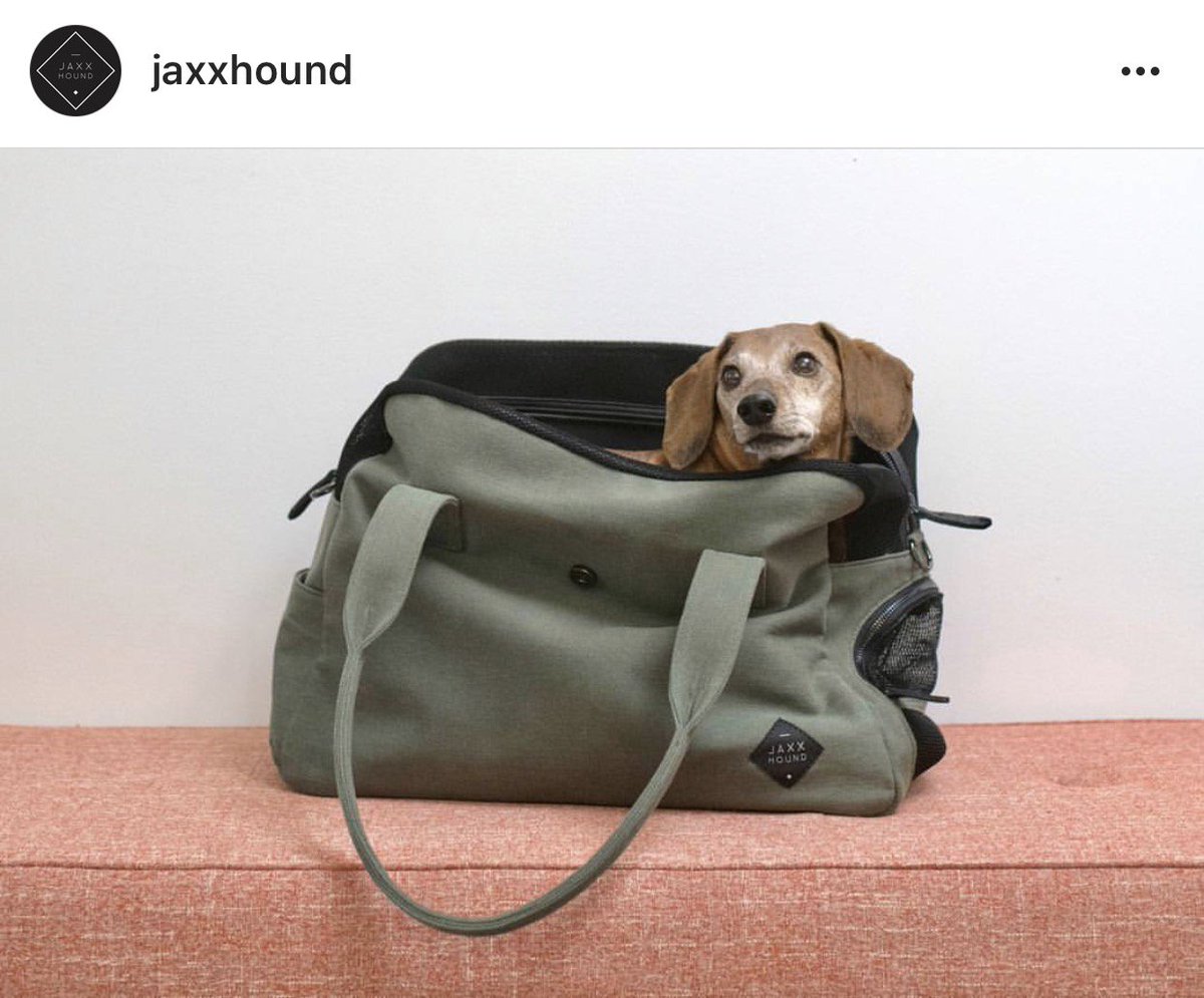 gooddogden's tweet photo. #givingtuesday Support a great Kickstarter campaign today.  Jaxx Hound Dog Accessories is giving 5% of their pledges to Animal Haven .  DEN loves other companies giving to causes close to our doggy-hearts. https://t.co/QS0ekG1YLc