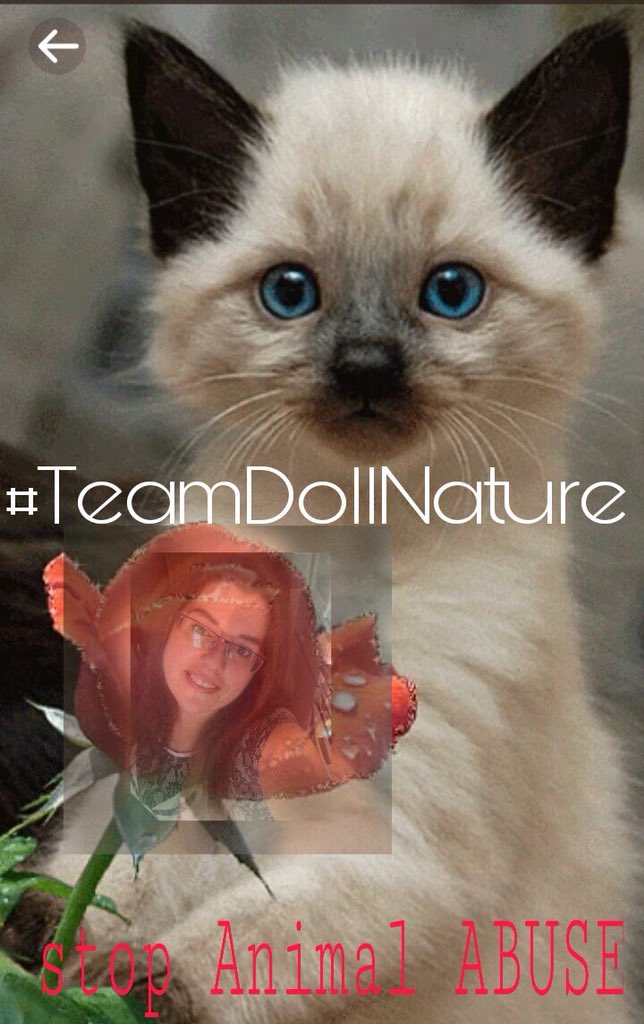 <a href="/_KCCO_/">Chupipandy #TeamDoll</a> <a href="/AleluyaAlSol/">𝕊𝕠𝕝🦋</a> <a href="/alis_alba/">🌹[α̲̲̅̅l̲̲̅̅b̲̲̅̅α̲̲̅̅] ❤ ADMID #TEAMDOLLNATURE🌹</a> @crescentegus <a href="/LaurenVictorita/">LAUREN VICTORITA 방탄소년단</a> <a href="/LuciaDodorico/">Lucia Dodorico</a> <a href="/Marisol2224/">Magali</a> <a href="/lililuly_22/">🇦🇷🌝liliana🌝🇦🇷</a> @adityasingh7865 @priscila_doII @NKollack @BisbaleraTorres @delfinazul1234 <a href="/ginestarros/">SuperGina♥️💚♥️</a> @crescentehor <a href="/crescenteghc/">Valeria 💎</a> <a href="/albaisabel123/">↪ Alba Isabel ↩ ADMIN ❤️ #TeamDollNature</a> <a href="/MichaelNike8/">Michael Knigth</a> <a href="/Lola_lolita08/">↪LolaMGWV↩</a> @Lacbleu_ @_vianamusic <a href="/DCordell2016/">🐺Wolfx#MuzikkZøne🎶 #𝘛eam𝘋øll𝘕ATURE CoFounder</a> <a href="/Lola_lolita06/">🧚‍♀️💖LolaLolita 💖🧚‍♀️</a> @_twiterAmor @RosanaFava <a href="/SergioA60798547/">Sergio</a> @exploradoryanez @TerapeutaTRE <a href="/Baldo0158/">Baldo0158</a> @Wolferboy911E @Carolovely30 <a href="/DeLouzival/">LOUZIVAL 🔙MGWV🔙</a> <a href="/VicN_84/">Vic Admin #TeamDollNature #TWorldFriends</a> <a href="/elchili21/">★又El Chili 21又★</a> @MaxiGasolOK <a href="/jorfanelli_2/">José! #TeamTrump LAW & ORDER!</a> @MuzikkZoneMan @Yenezix <a href="/seudevan/">Adevanzil Rodrigues</a> <a href="/DazzDazz2/">@DazzDazz2 #MGWV</a> <a href="/StarfleetPop/">Saeiqa IFB SDV</a> <a href="/1M__000/">1M__000</a> @Mercedhoy @doctagaby <a href="/YaninaVelez5/">💞 Yanina 💞</a> @lucasAle45 @rullos618 <a href="/Elalacran02/">El sol💋itario💘</a> <a href="/SiscoMGWV/">🔶️Sisco #1DDrive 113k🔶️</a> #TeamDollNature