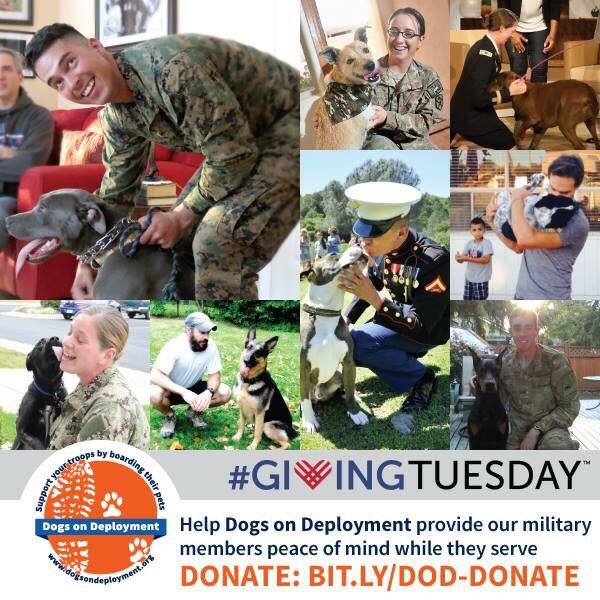 DogsonDeploymnt's tweet photo. On top of being a nationwide network of over 20K #DoDBoarders for our military to find safe and loving homes for over 1,145 pets while they serve, we have granted nearly $400K in financial assistance to #military pet parents.
> > https://t.co/ncZdDUzGAP https://t.co/Fd1kbCwbk6