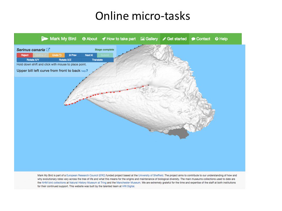 CoopSciScoop's tweet photo. 14 - #ornithology #CitSci includes very cool (& fun( online microtasks for analysing Museum specimens like with @MacrobirdEvol #MarkMyBird #BOU17TC https://t.co/bUE5CBpBj8