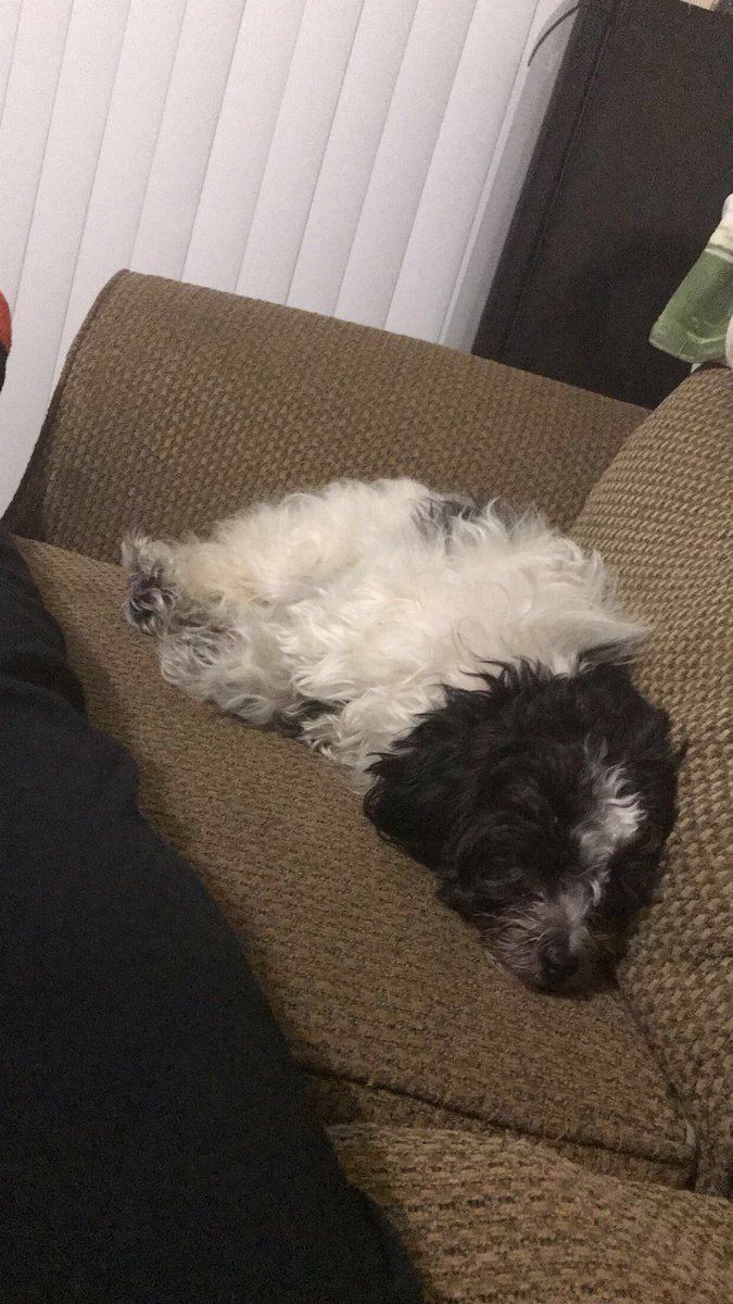 BlakesRaw's tweet photo. Princess 1 birthday today ❤️❤️❤️❤️ Come wish her happy birthday and bring her some gifts ❤️❤️❤️ https://t.co/1OIwUw0Y7x