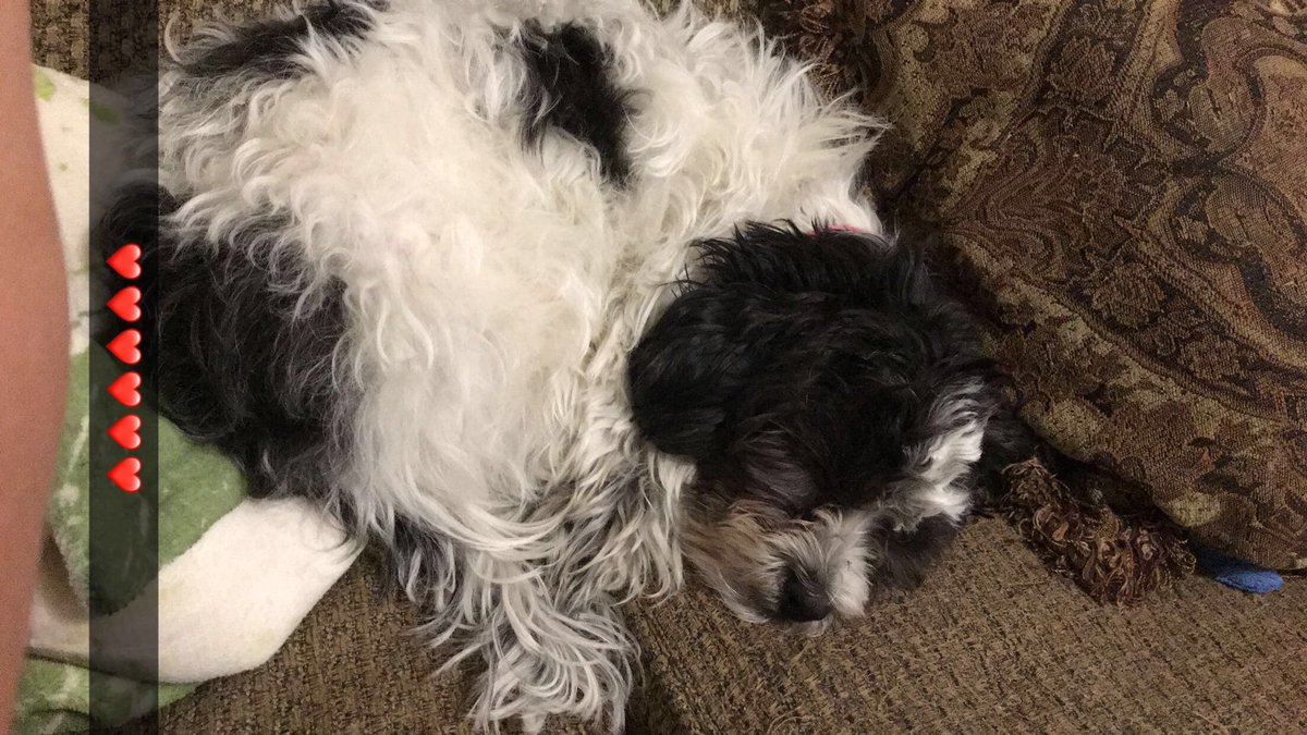 BlakesRaw's tweet photo. Princess 1 birthday today ❤️❤️❤️❤️ Come wish her happy birthday and bring her some gifts ❤️❤️❤️ https://t.co/1OIwUw0Y7x