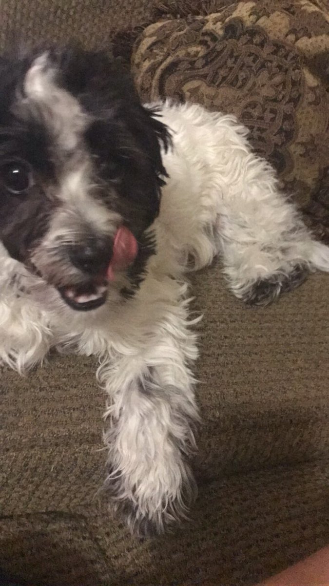 BlakesRaw's tweet photo. Princess 1 birthday today ❤️❤️❤️❤️ Come wish her happy birthday and bring her some gifts ❤️❤️❤️ https://t.co/1OIwUw0Y7x