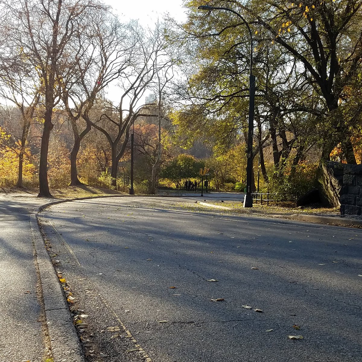 CityBikeCoach's tweet photo. A road waiting to be ridden on. #fallmorning #fall #morning #morningride #roadlesstraveled #pathlesstraveled #goforaride #bikeride https://t.co/x1nZm17noL