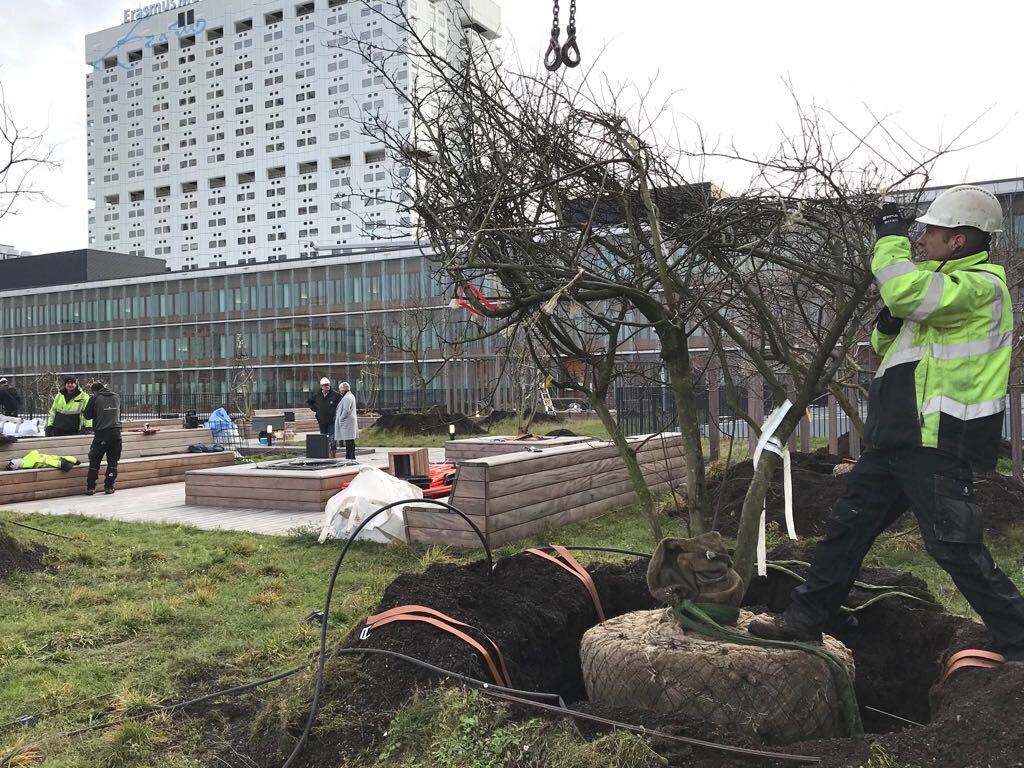 Erasmus MC Foundation tweet media