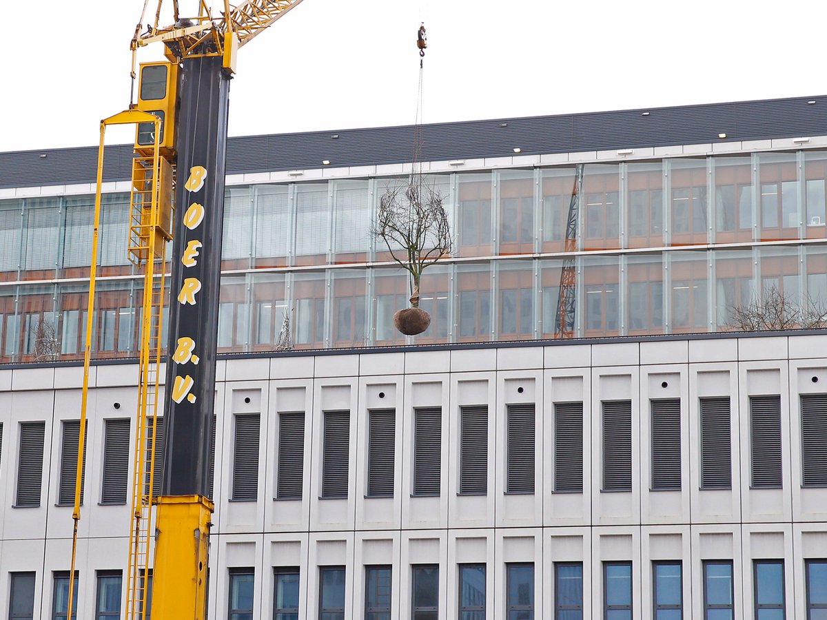 Erasmus MC Foundation tweet media