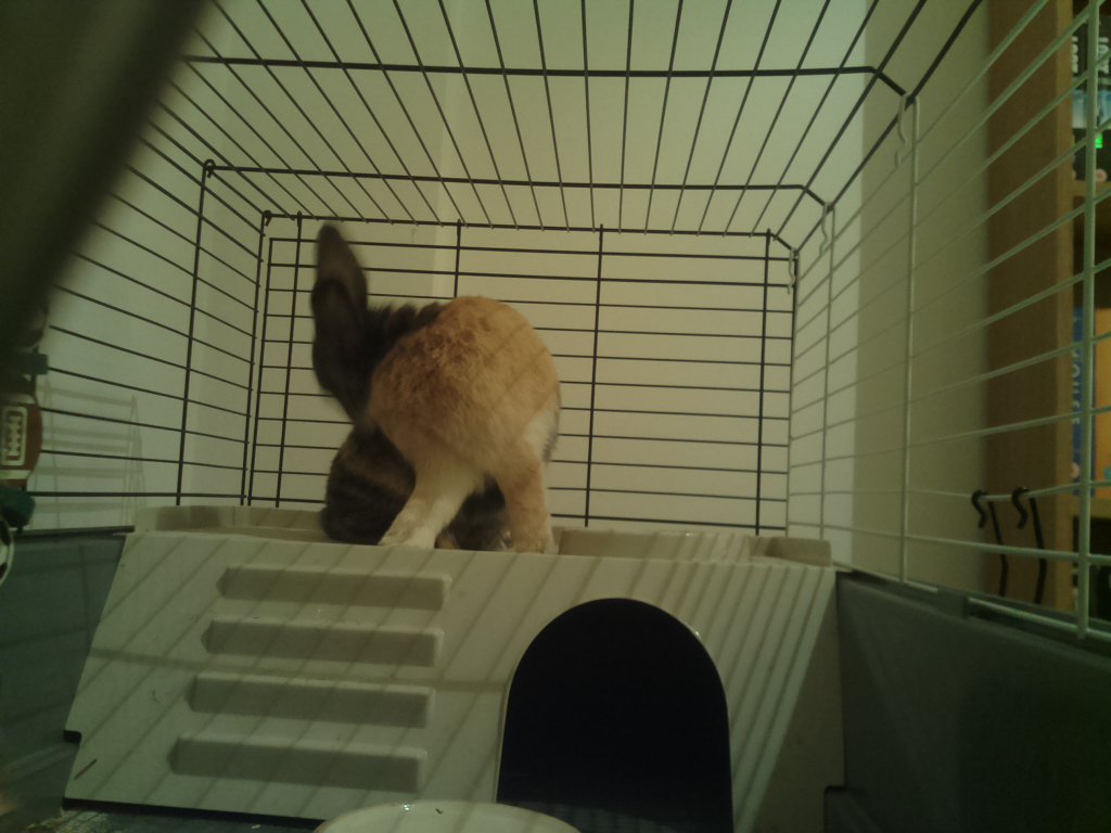 DexVision's tweet image. Dexvision live update at: 2017/11/28 17:00:02