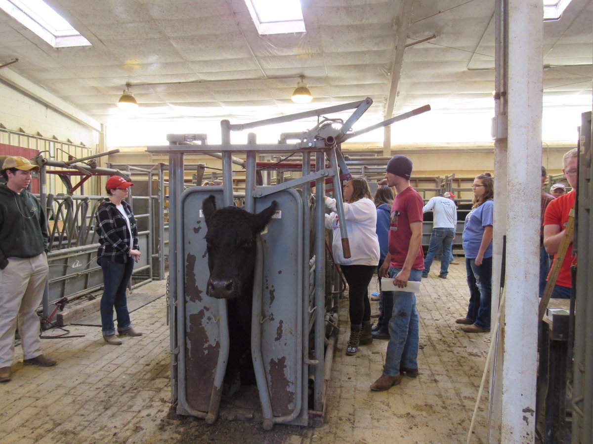 Agricultural Institute tweet media