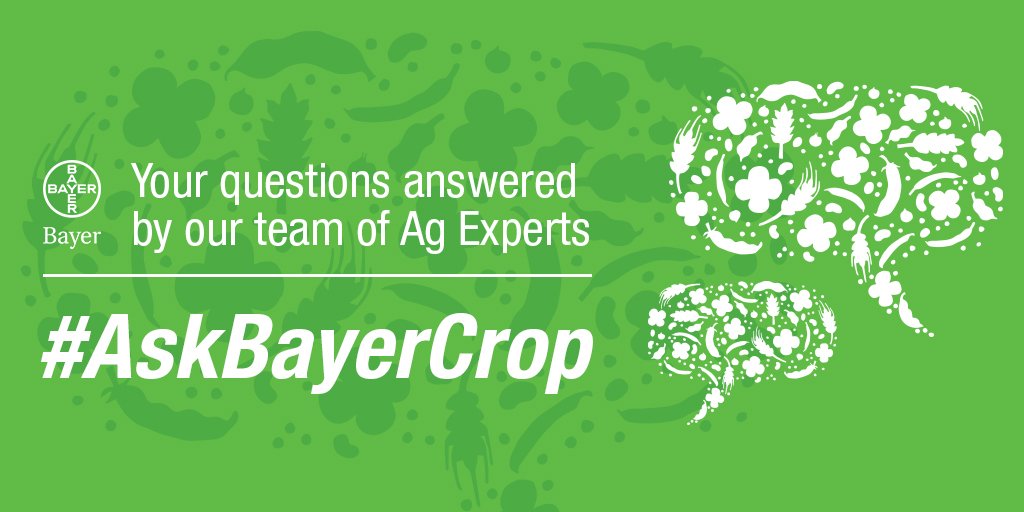 Bayer4CropsCA's tweet photo. Have questions for our team of agronomic experts? Send them our way using the #AskBayerCrop hashtag https://t.co/x9dUSgI2QH