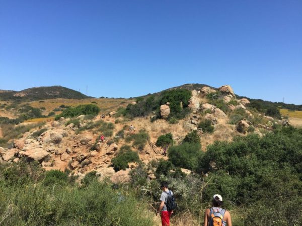 fungigsd's tweet photo. Hike the Los Penasquitos Canyon Preserve
https://t.co/4p4mj7SZlS https://t.co/QaU40mviyP