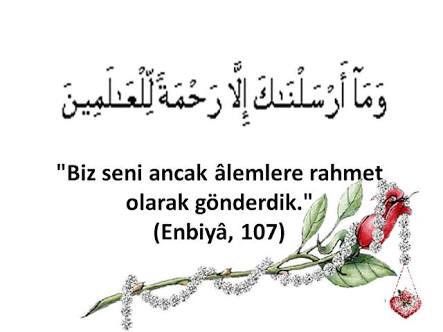 ALLAH’ım Bizi HABİBİN (sav) yolundan ayırma bizi dostlarınla haşret Amin. #WeLoveYouMuhammed