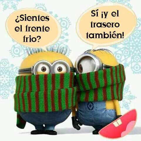 PerlaReyna73's tweet photo. Literal!!! ❄⛄ https://t.co/hEQKiQObw5