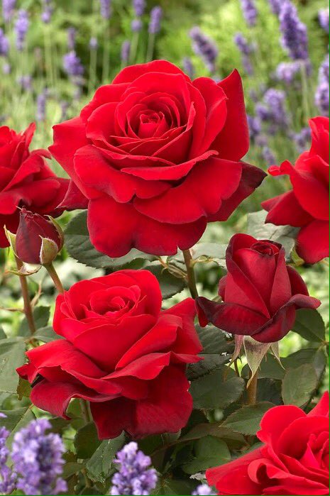 @Mony_TF <a href="/PrismaSkin/">PrismaSkin  #TeamUnidoS #OnlyLovE</a> <a href="/bordong2/">GΣЯΛ</a> <a href="/Mechis_M/">🥀𑜞᭄ ❤️‍🔥ℳariղ❤️‍🔥🥀𑜞᭄</a> @FerMejia66 <a href="/AliceUnidoSTeam/">Alice🇨🇵TeamUnidoS</a> <a href="/AleFernandezRoa/">𝑨𝒍𝒆𝑭𝒆𝒓𝒏𝒂𝒏𝒅𝒆𝒛𝑹𝒐𝒂</a> <a href="/666_alhlwan/">🇸🇦🌴🆇𓃵💛MBS #Saleh666 MBS 🖤𓃵🌴🆇 🇸🇦</a> <a href="/Monica29R/">Sm;)le</a> <a href="/MariaBulacio1/">💗Andy💗TeamUnidoS</a> @Mercedhoy <a href="/SaraBrisola/">🎀🍒Sara Brisola🍒🎀</a> @AngelitaDulce__ <a href="/FilippoIovino/">Filippo Iovino</a>