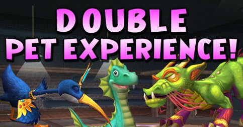 Now thru Thursday, 11/30, Members get double the pet experience from pet games and pet snacks!