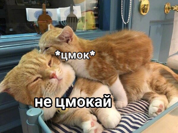 drunktwi's tweet photo. https://t.co/79Vj0i6pt5