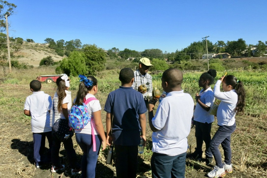 SFGardenProject's tweet photo. Help us keep employing, educating and feeding San Franciscans by donating to The Garden Project this #GivingTuesday2017.  Check out our website https://t.co/5KjWfGbt1F and look for the donate button in the upper righthand corner. https://t.co/da4YCdjsQH