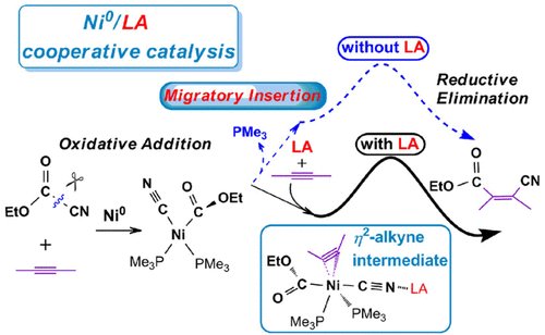 DFT Investigation: Ligand dissociation is avoided using Lewis acids in a bisphosphine cycle for Ni0/LA-catalyzed cyanoesterification bit.ly/2hYBMWe