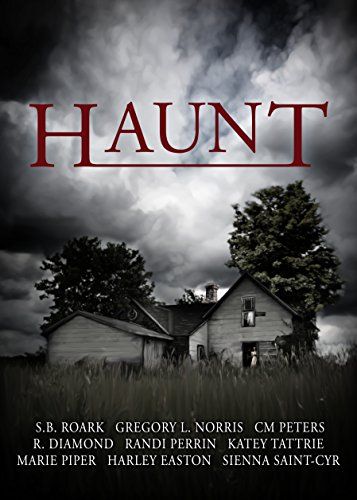 Harley_Easton's tweet photo. Give a little and get a good read. All proceeds from Haunt go to support Chicago based homeless charities. Plus get great stories by @NorrisWriter @SB_Roark @rdiamond89 @mariepiperbooks and more! https://t.co/5Dl6505IH1 #GivingTuesday https://t.co/nprEJpqAU0