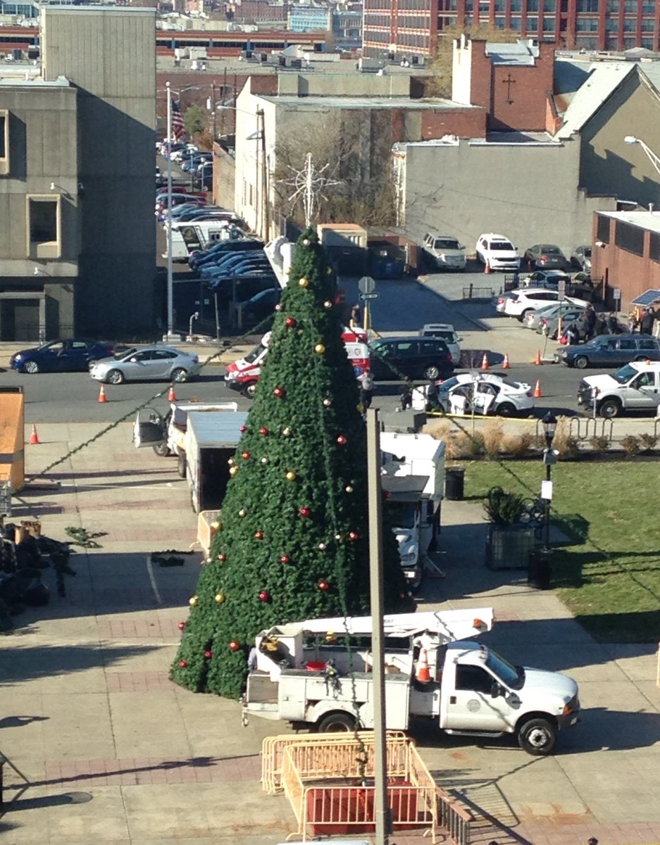 Dana Redd tweet media