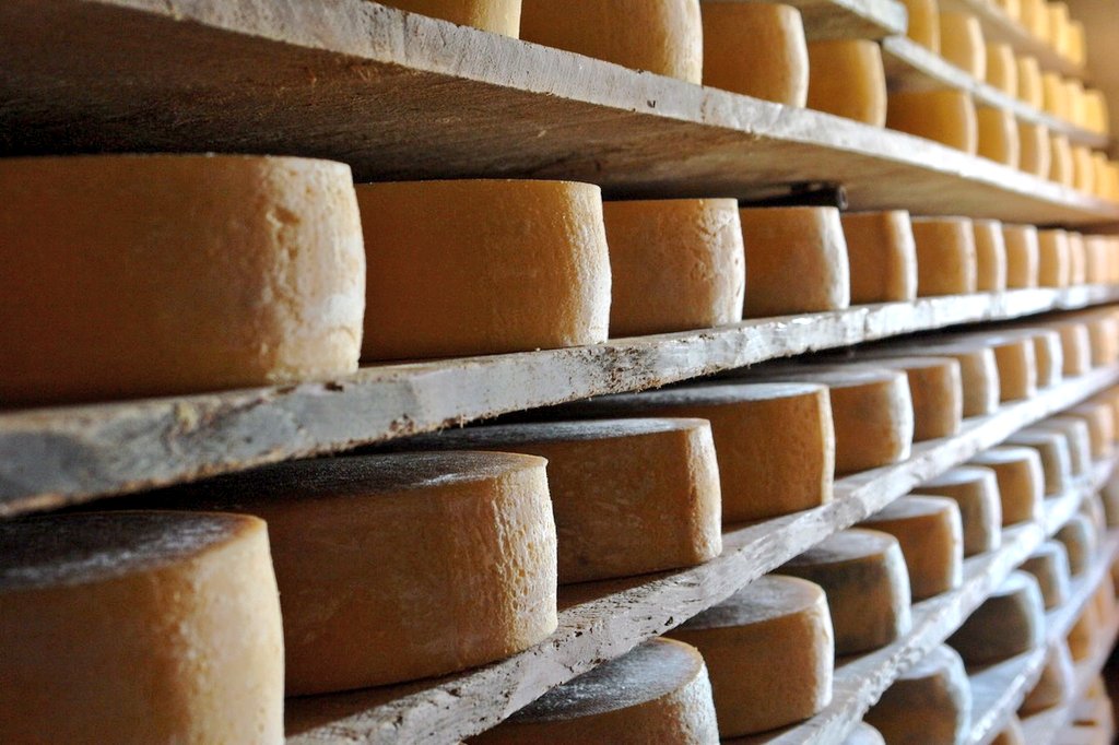 Marco_K18's tweet photo. #Formandi per gustare i #formaggi di montagna https://t.co/uAT16v4nil
#Cibo #food @qbquantobasta #Friuli https://t.co/oeMKfZlCic