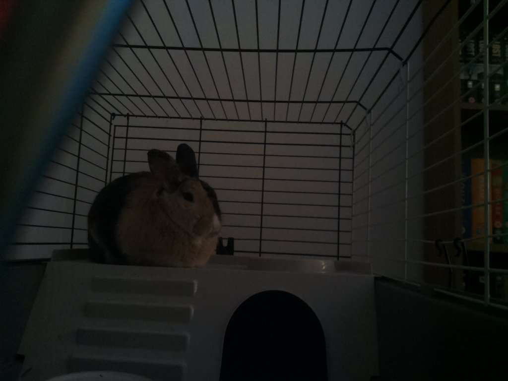 DexVision's tweet image. Dexvision live update at: 2017/11/28 18:00:02