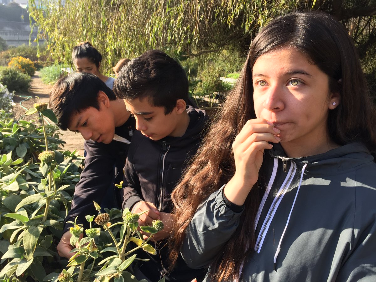 Seven Tepees tweet media