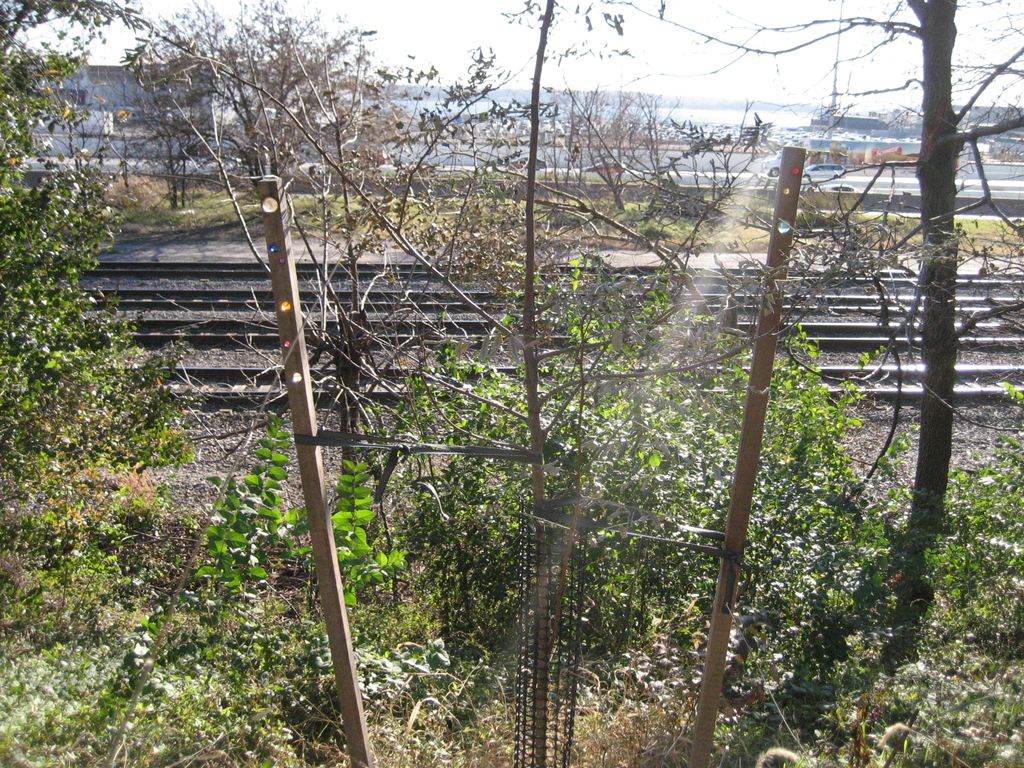 Baltimore Orchard tweet media