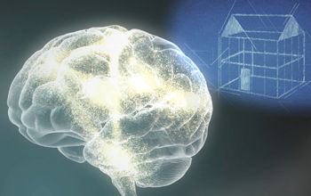 ecms_childhood's tweet photo. Early childhood experiences affect the development of brain architecture, which provides the foundation for all future learning, behavior, and health hence providing evidence to provide all  children with high quality childcare. 

https://t.co/B0B30kGe4t https://t.co/Ev5aYL15mQ