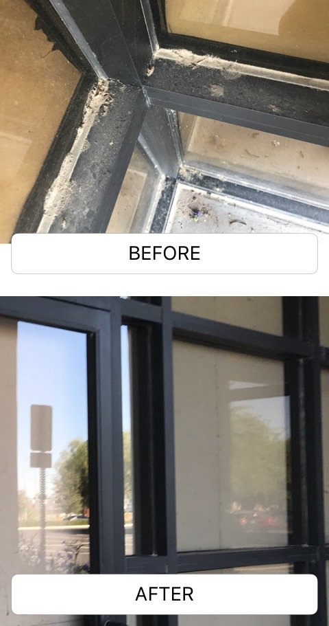 redFISHvan's tweet photo. We take windows from gross to gorgeous! #transformationtuesday #beforeandafter #cleanwindows #fishwindowcleaning https://t.co/If7yn5rY7i