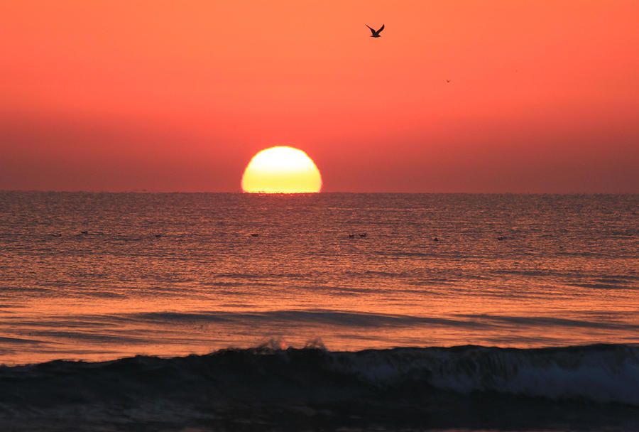 Amazing sunrises come standard with your sky home! #MarinaGrandeontheHalifax #LiveInParadise buff.ly/2h7lyNS