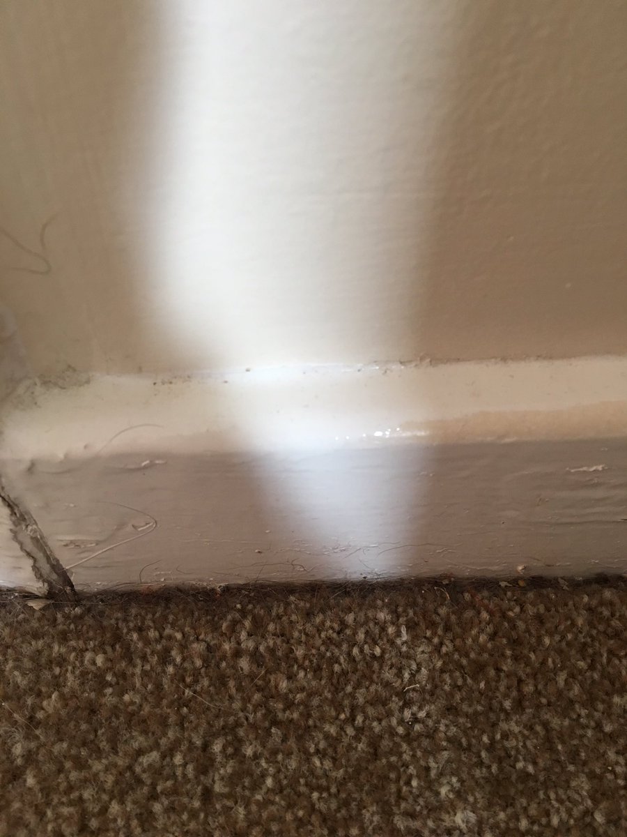 GemmaRuan's tweet photo. @StuartJonesCA please see attached photos of the quarter I moved in to. I have been asking for someone to come and inspect the house for 14 days and getting nowhere!!! The entire house is plastered in dog hair and smells!!! https://t.co/R0rMugnpzB