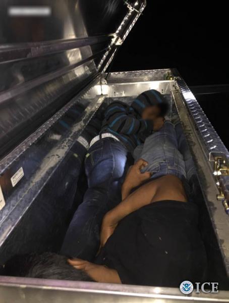 U.S. Immigration and Customs Enforcement tweet media