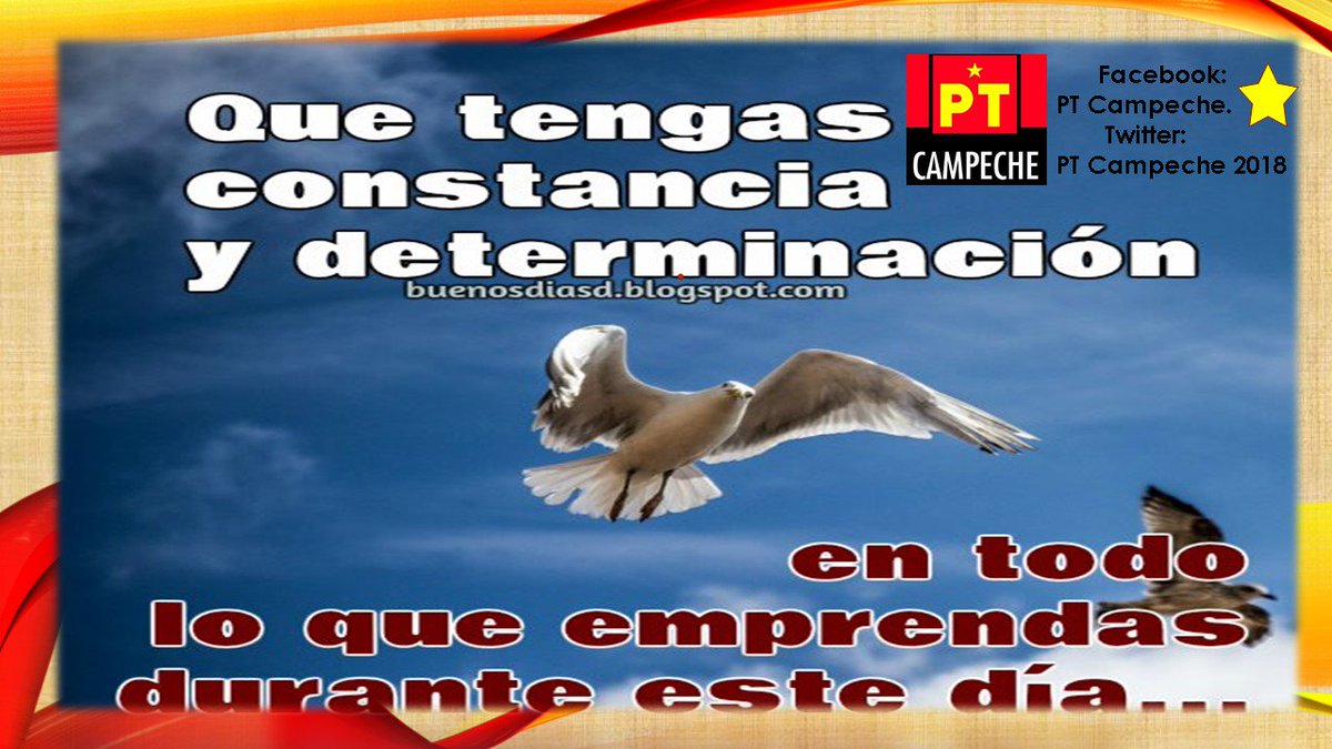 PTCampeche2018's tweet photo. https://t.co/cjGNVRe0Mv