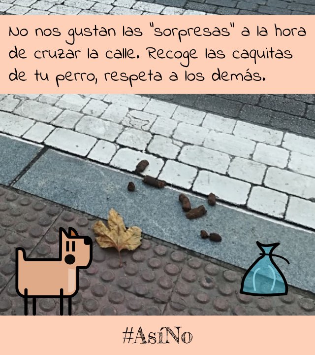 AlcalaAmable's tweet photo. Sabías qué...❓
Si los excrementos💩 de un perro no se recogen puede:
1°➡️El sol🌞 solidificar las heces, convirtiéndolas en polvo y el viento🌫️ las reparte
2°➡️La lluvia🌧️ disuelve las heces dispersándolas
🌍Resultado: contaminación fecal de lugares públicos.#AsíNO https://t.co/eOUT0OnQ1M