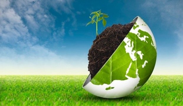 AgriculturaIT's tweet photo. #vino
Innovazione sostenibile. @BerlucchiWine ospita il workshop Agricoltura 4.0 il 5 dicembre

https://t.co/yuhFMAyjg0 https://t.co/WvykNDwxrZ