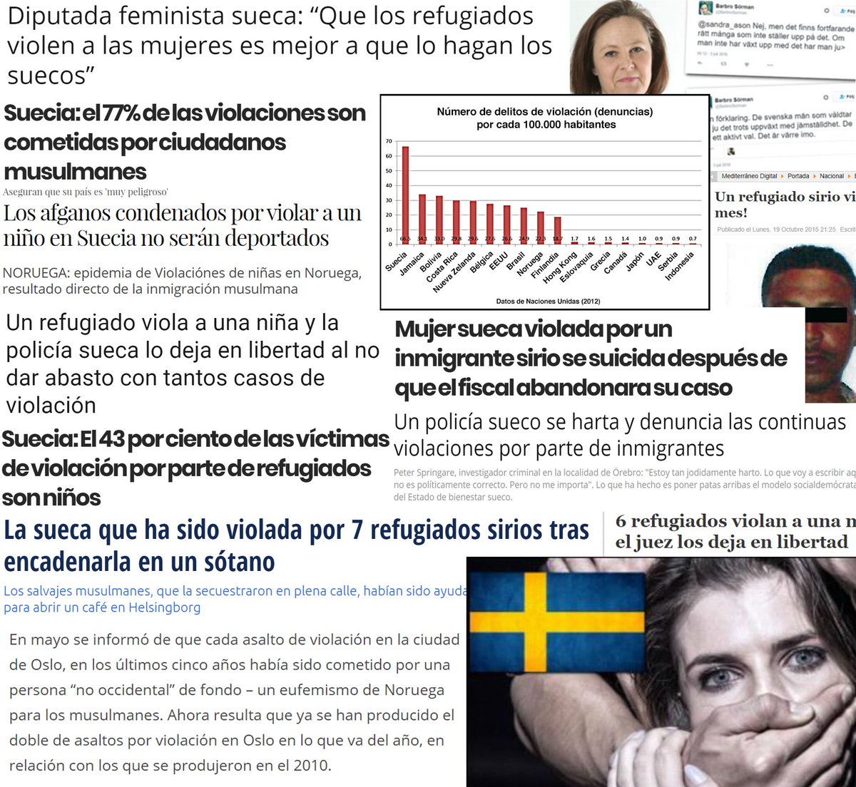Image result for diputado sueco multado por denunciar violaciones islamicas