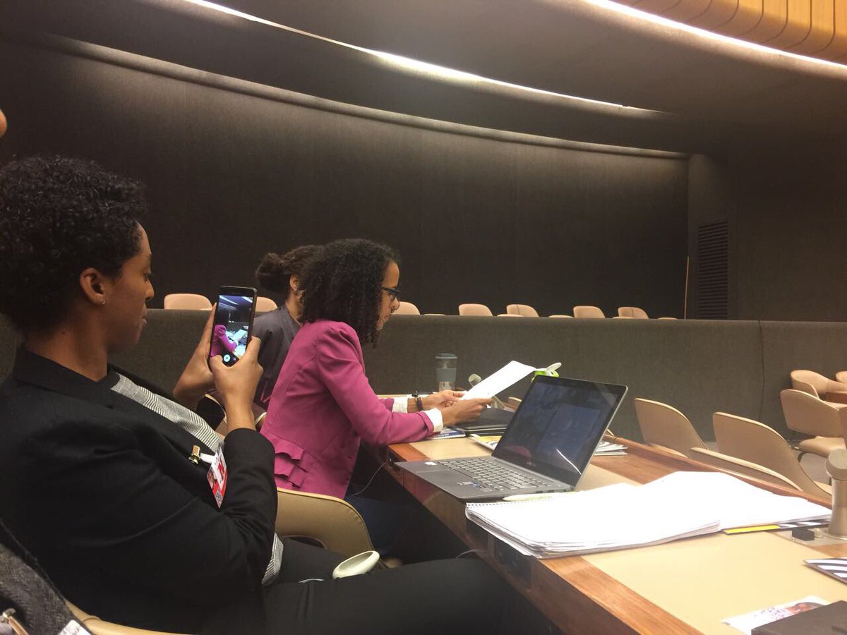 Representatives of German CSOs presented their statements at the Regional Meeting with recommendations for the pillars recommendation, justice &amp; development. #africandescent