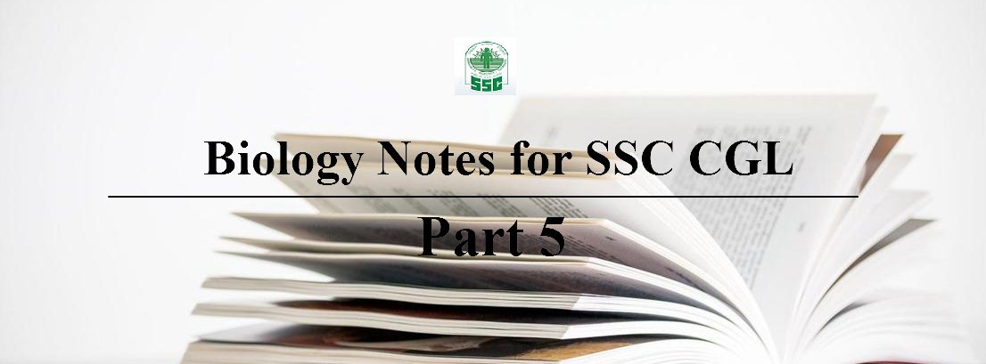 SSCPrepMaterial's tweet photo. https://t.co/jYaSzp82Sr https://t.co/5LhrRKKd9J