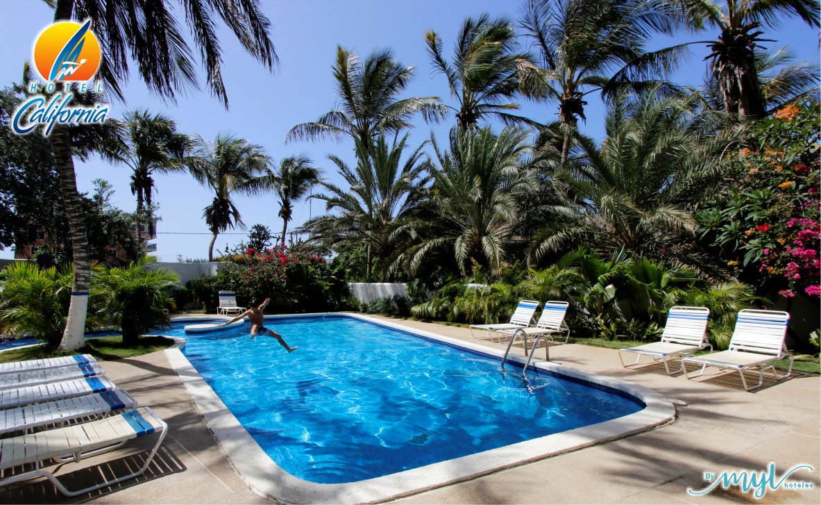 HCaliforniaVe's tweet photo. Siente la brisa y disfruta del sol en #PlayaElYaque junto a nosotros @hcaliforniave
Reservaciones: 0295-2698898/ 269.88.95/ 269.88.96
reservaciones@hotelcalifornia.com.ve
https://t.co/3cKrbDcROW
#ElYaque #HCaliforniaVe #Venezuela #IslaDeMargarita #Caribe #Sol #Playa #VivaElYaque https://t.co/qwN7A39Yed