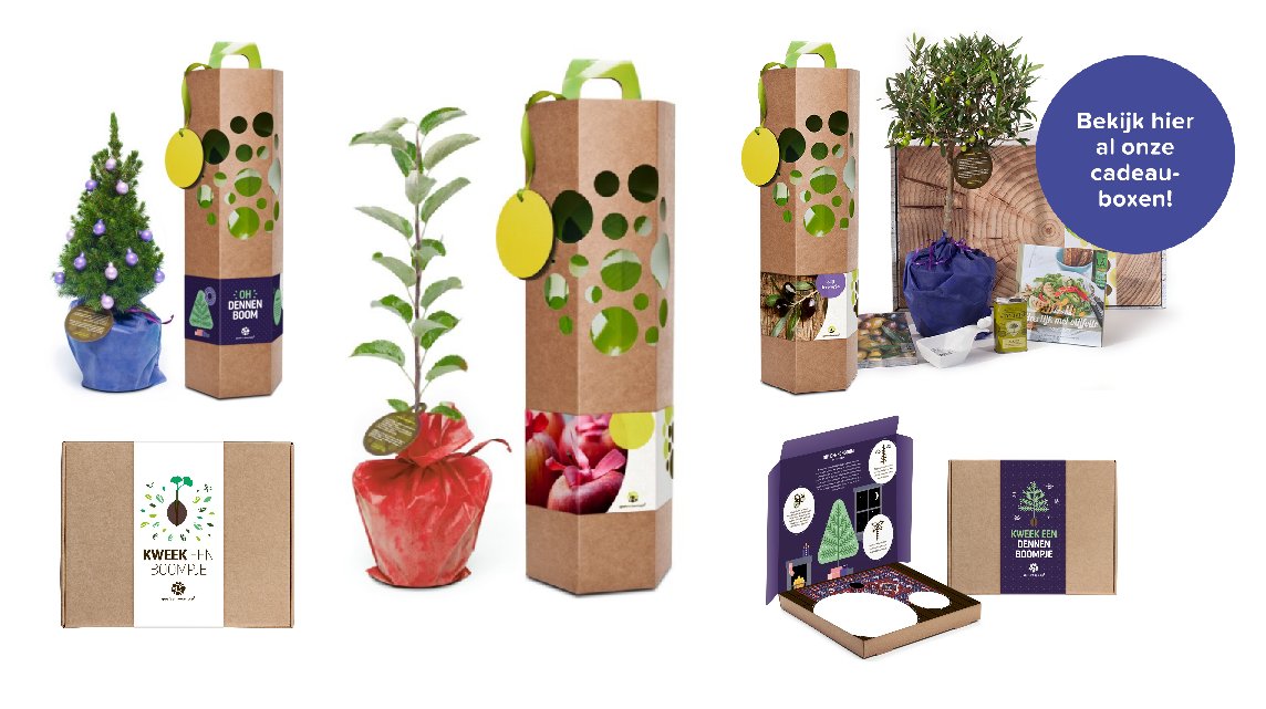 GeefeenBoompje's tweet photo. Nog geen origineel en duurzaam #eindejaarsgeschenk geregeld? Geen stress, bekijk snel ons assortiment. https://t.co/EXjydQrhVG https://t.co/7TwU9guUGk