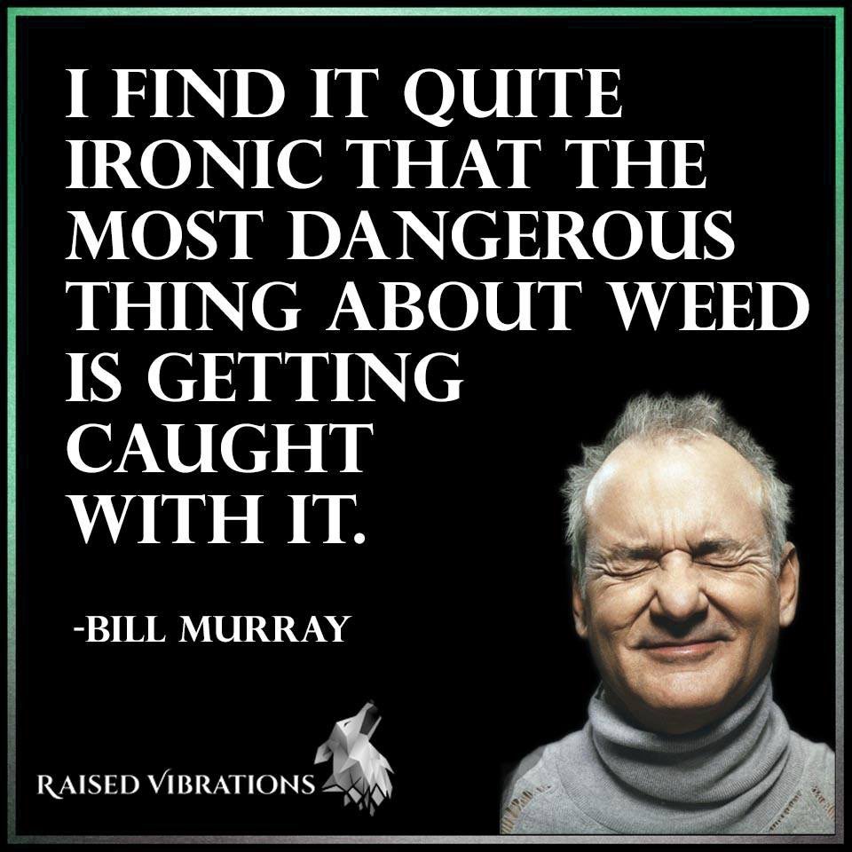 VoteOrtiz2017's tweet photo. I believe in the legalization of marijuana #tigenopia2017 #vote4ortiz https://t.co/fbSWF2uapD