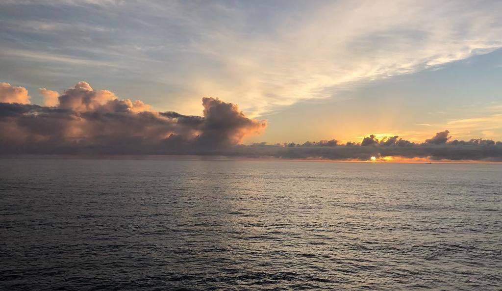 jeloz's tweet photo. 💙 November steamy mornings 🌊 #beachlife #sydney #australia https://t.co/r381QjKrPL https://t.co/mRcXmDdfbL