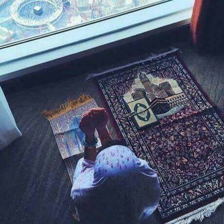 AyaReda98534's tweet photo. مصحف + سجاده = قصه حياه https://t.co/0oUuN48AXt