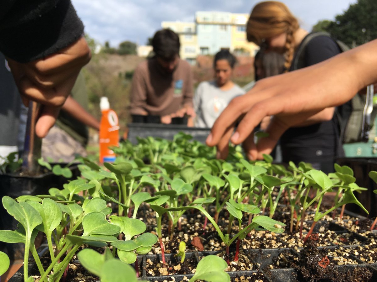 Seven Tepees tweet media