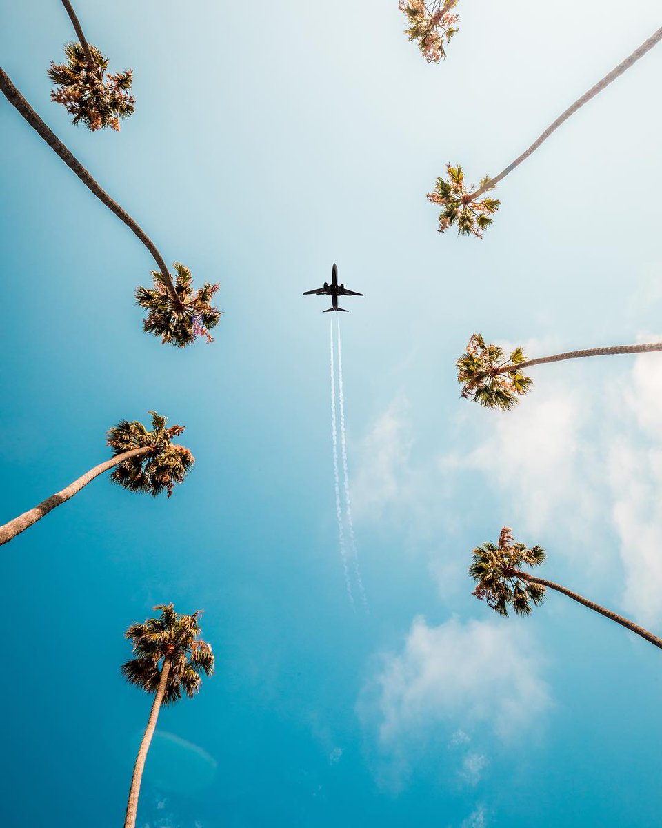 RedTravel8's tweet photo. Viaja!✈🌴 | 📸: @ kanecandrade (IG)
#RedTravel #travel #traveling #viajar #viajeros #mochileros #FelizMartes #travelers #wanderlust #palm #avion #airplane #California #photography #followus #Siguenos https://t.co/37XNr0b3FN
