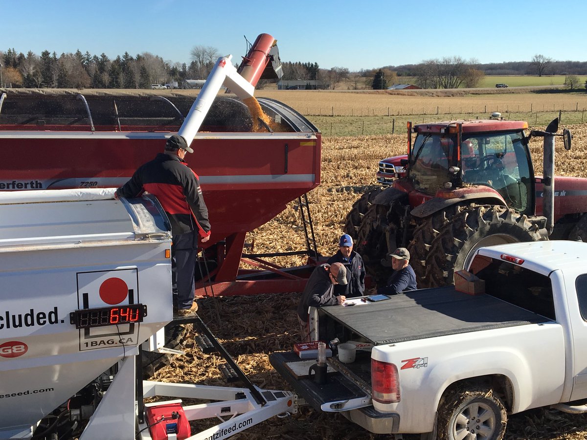 Brad_Hallock's tweet photo. A view from the combine as @PRIDESEEDS A6102G8 declared this years @Yantzis plot winner. #highyielder, #dry, #cleancorn #Champion! https://t.co/bOY9CIVs3A