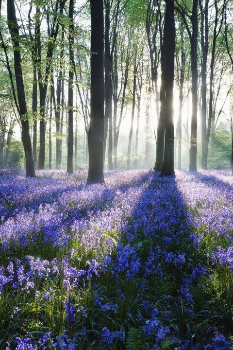 MentosA97's tweet photo. This is my #day16 it's a shade all mine, and it's one of the 50 reasons why winter is special #DefineUtopia #AknightinshiningArmor #50shadesofmagical #50daysofwinter https://t.co/S0cKERLkrK