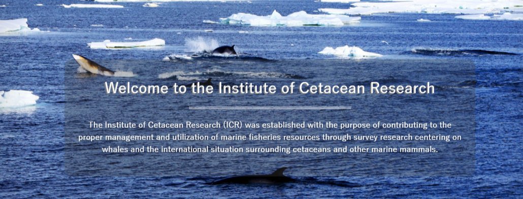 AriAgathe13's tweet photo. #Japans whaling fleet is heavily subsidised by taxpayer money funnelled through the Institute of Cetacean Research (ICR) #OpWhales https://t.co/9Avx2UwW2O