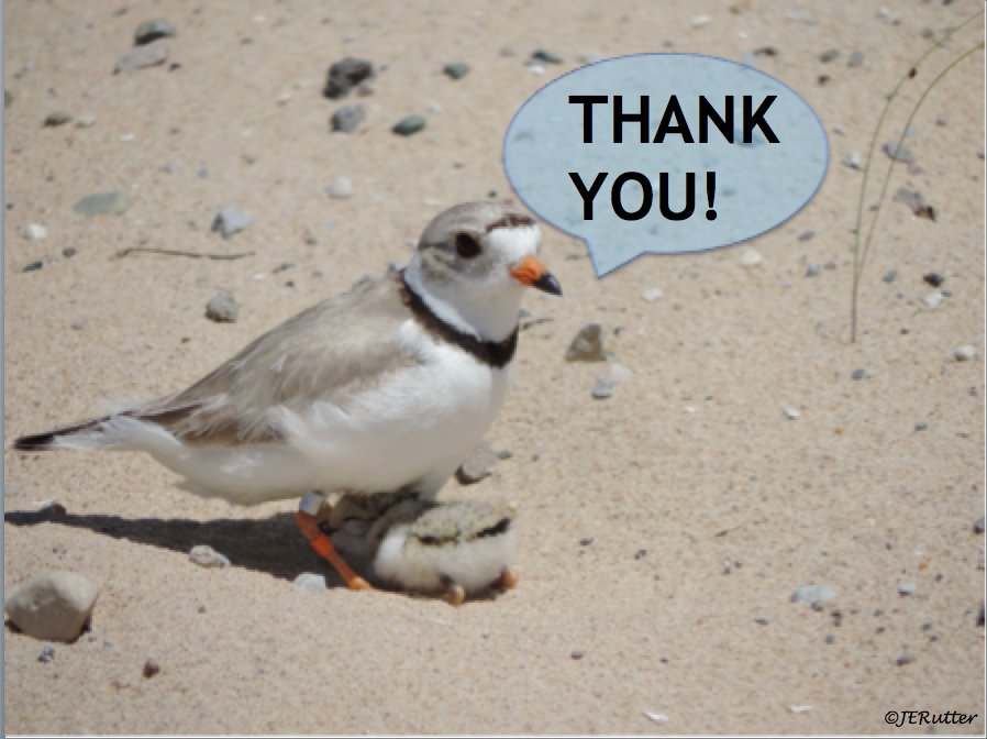 JERutter's tweet photo. 6 #BOU17TC
Going to take ppl to cont #GLPIPL success.
More ed/outreach needed.
Compromise is good 1st step. More dog beaches is strong rec. Helps everyone have designated safe space. Affordable too!
Thx to all who supported this work.
Happy to answer questions!
#ornithology https://t.co/sViS0RFViX